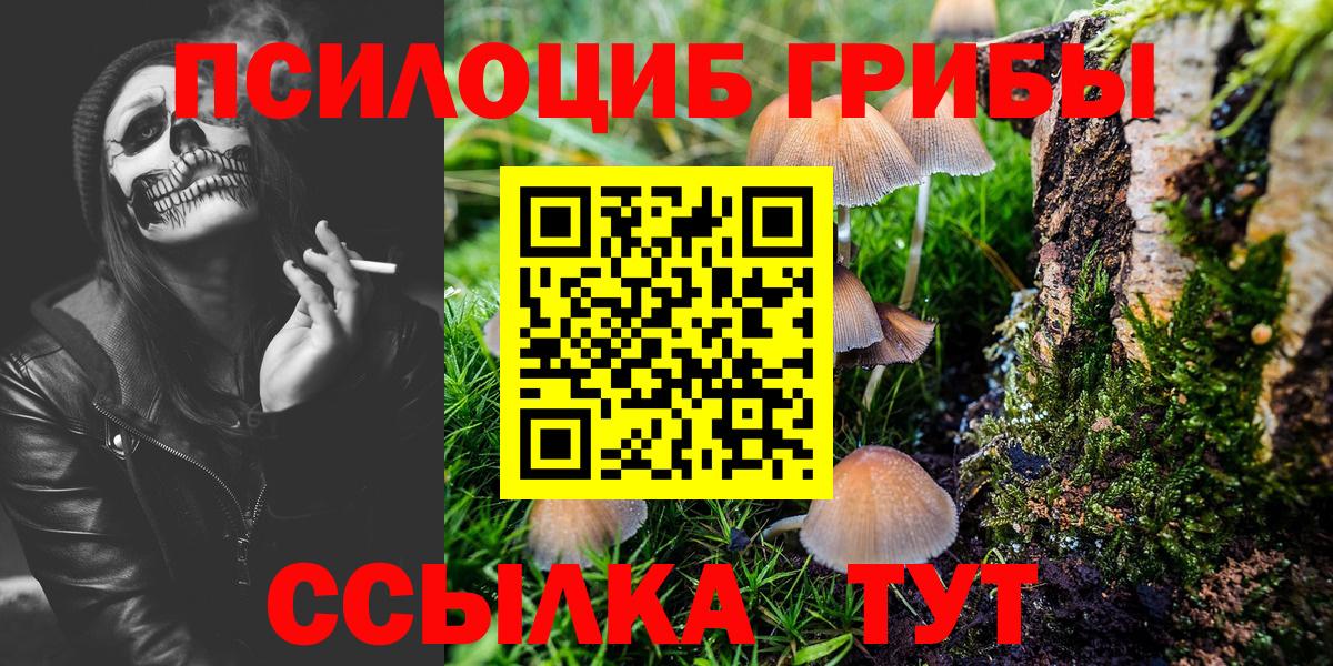 Псилоцибиновые грибы MAGIC MUSHROOMS Моршанск