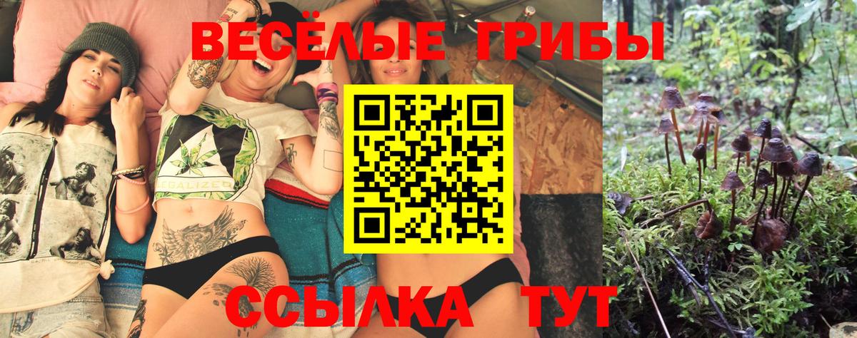 Моршанск  Псилоцибиновые грибы прущие грибы  Вход с VPN 